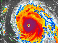 Storm Clean up Tampa