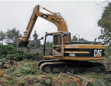 Land Clearing Tampa